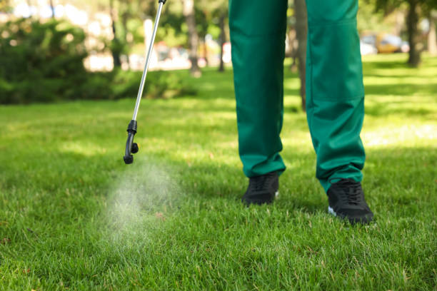 Best Affordable Pest Control Services  in Eton, GA