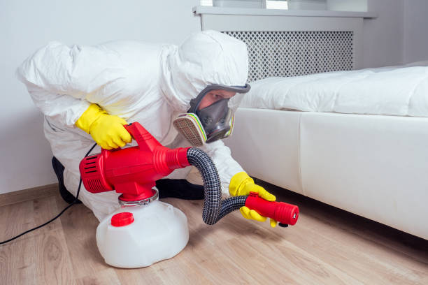 Flea Control Services in Eton, GA