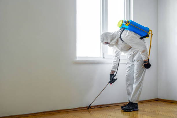 Best Insect Control  in Eton, GA