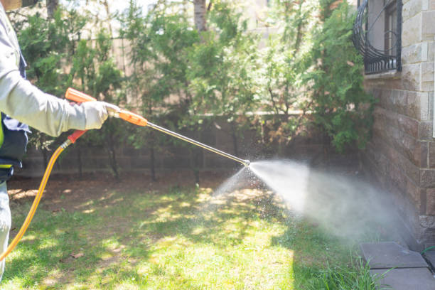 Best Pest Removal Services  in Eton, GA