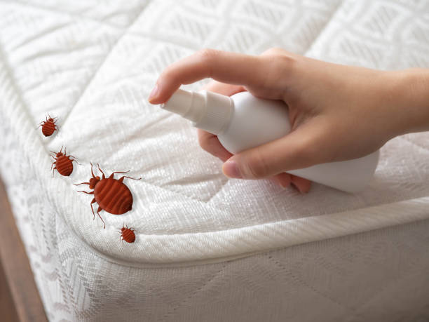 Pest Prevention Services in Eton, GA
