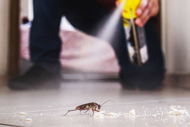 Best Cockroach Control Services  in Eton, GA