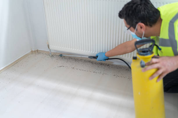 Best Pest Control for Businesses  in Eton, GA