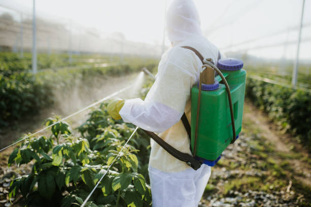 Pest Control Cost in Eton, GA